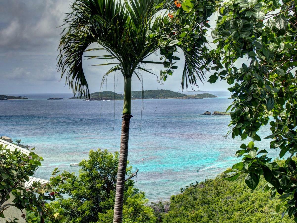 Estate Lindholm Hotel Cruz Bay Exterior photo