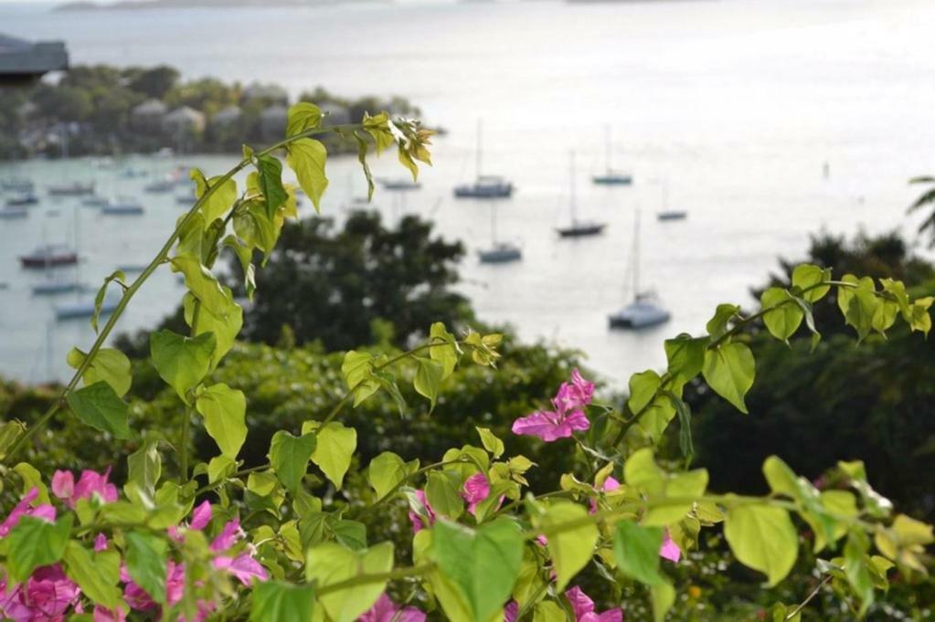 Estate Lindholm Hotel Cruz Bay Exterior photo